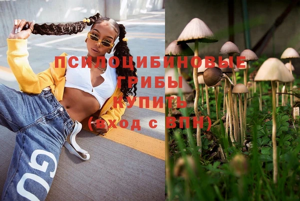 ГАЛЛЮЦИНОГЕННЫЕ ГРИБЫ Надым