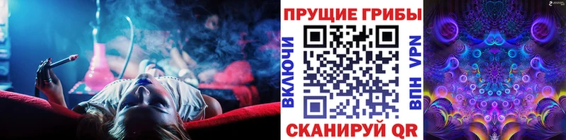 Псилоцибиновые грибы GOLDEN TEACHER  Набережные Челны 