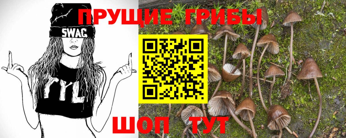 Набережные Челны  Галлюциногенные грибы Psilocybe  Вход с VPN 