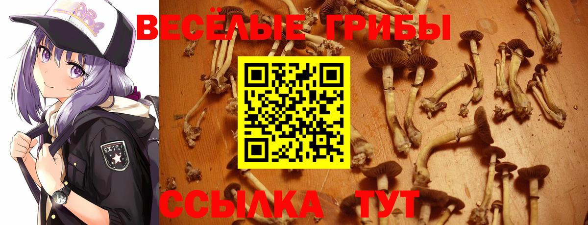 Псилоцибиновые грибы Psilocybe  Вход с VPN  Набережные Челны 