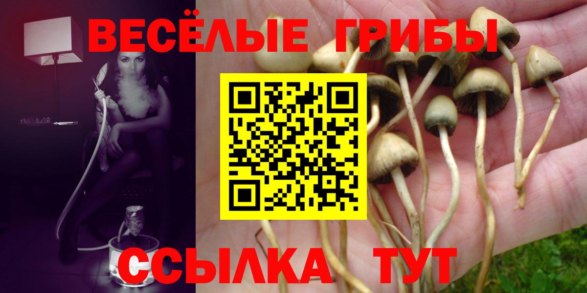 Галлюциногенные грибы Magic Shrooms Набережные Челны