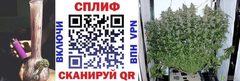 Бошки Шишки THC 21%  как найти наркотики  hydra зеркало  Набережные Челны 